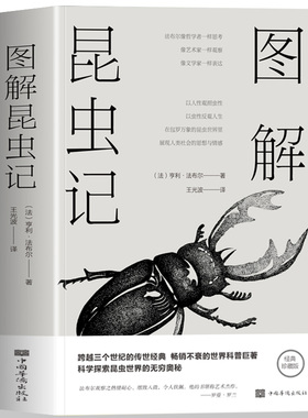 图解昆虫记 在关于昆虫的本能习性婚恋繁衍描述中渗透着作者对生命自然的赞美和思考 法国著名昆虫学家和科普作家法布尔的经典力作