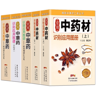 道医健身精要 道家真气正版 道医健身功法入门气功心法修炼养生大全书 道家经典养生功法经络穴位按摩冥想训练 饮食调理中医书籍
