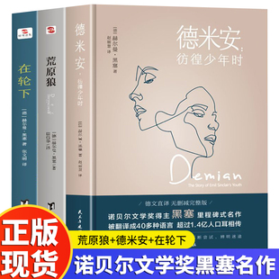 正版 全3册德米安彷徨少年时+荒原狼+在轮下 诺贝尔黑塞经典小说作品集黑塞的书防弹少年团外国小说现当代文学畅销书籍
