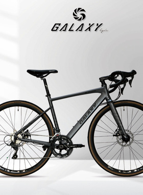 格莱仕R800前后快拆城市通勤自行车16速变速弯把公路车