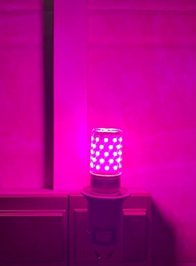 LED插电小夜灯氛围卧室蓝色拍照补光粉色七彩抖音同款紫色网红灯