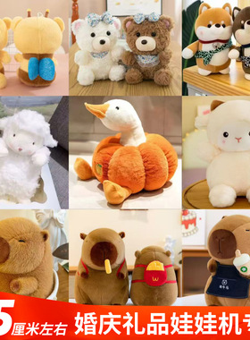 跨境流量新款八寸娃娃机公仔潮玩批货婚庆抛洒小玩偶毛绒玩具批发