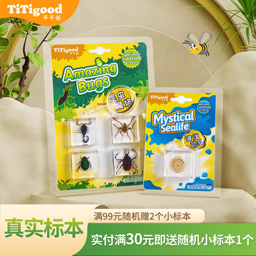 titigood千千谷昆虫魔块树脂标本真虫套装儿童科学认知玩具摆件