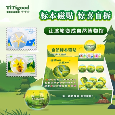 千千谷自然标本冰箱贴盲盒