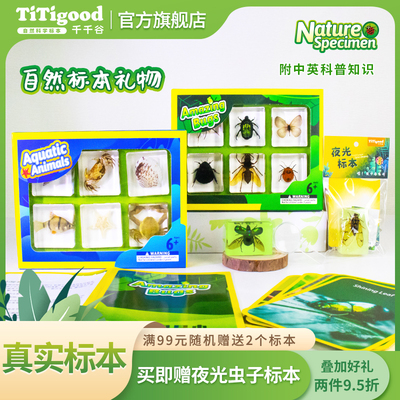 千千谷自然标本礼盒儿童节礼物
