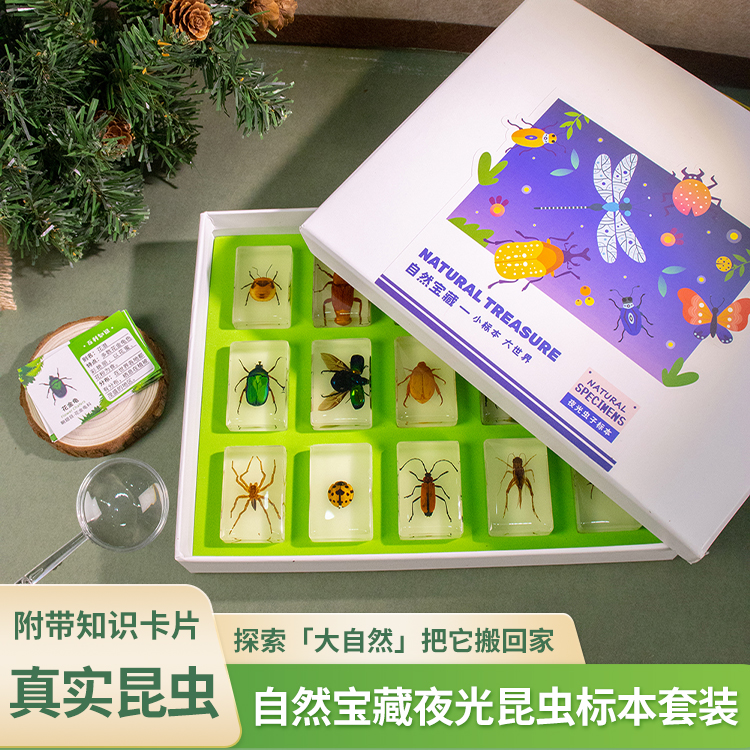 千千谷真实昆虫树脂标本套装科普礼物海洋夜光标本礼盒幼儿园玩具
