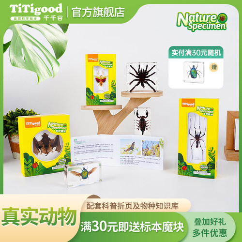 千千谷科普教育真虫标本玩具