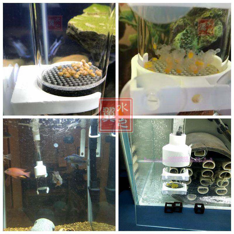 现货批-50MM三湖慈鲷鱼卵孵化器异形底栖观赏鱼口孵鱼卵化孵化器