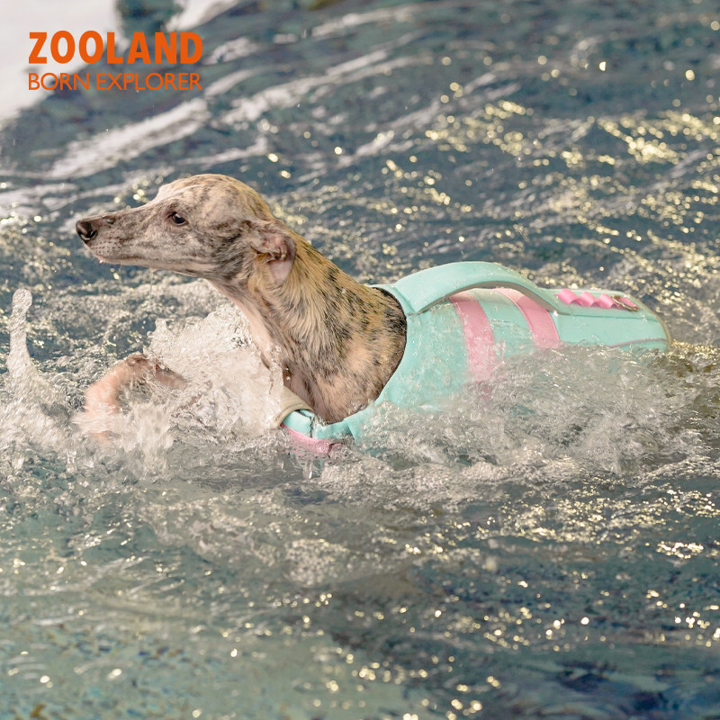 ZOOLAND域揽狗狗救生衣户外强浮力小中大型犬宠物金毛柯基游泳衣