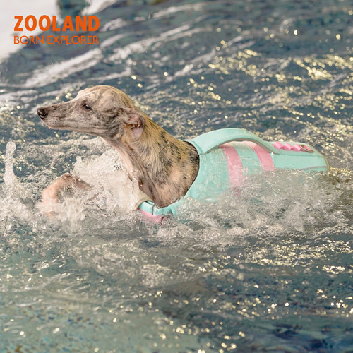ZOOLAND域揽狗狗救生衣户外强浮力小中大型犬宠物金毛柯基游泳衣