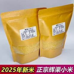 2025山东安丘辉渠小米春谷新米孕妇月子米农家杂粮食用黄小米谷子