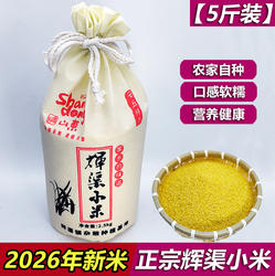 2026正宗安丘辉渠小米新米5斤孕妇月子米山东农家食用春谷黄小米