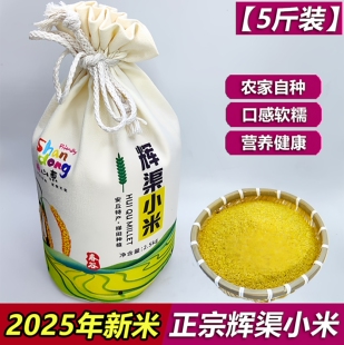2025年辉渠小米秋季新米5斤装山东特产农家春谷黄小米孕妇月子米