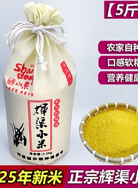 2025正宗安丘辉渠小米新米5斤孕妇月子米山东食用农家春谷黄小米