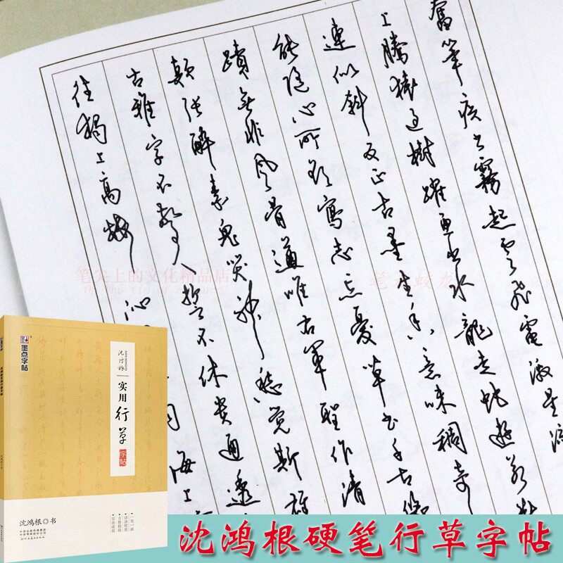 沈鸿根实用行草字帖硬笔书法公务员连笔字速成成人钢笔草书手写体