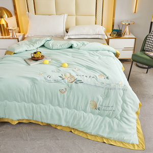 新型夏凉被四件套单件空调被可水洗机洗夏季薄款花边款被子单双人