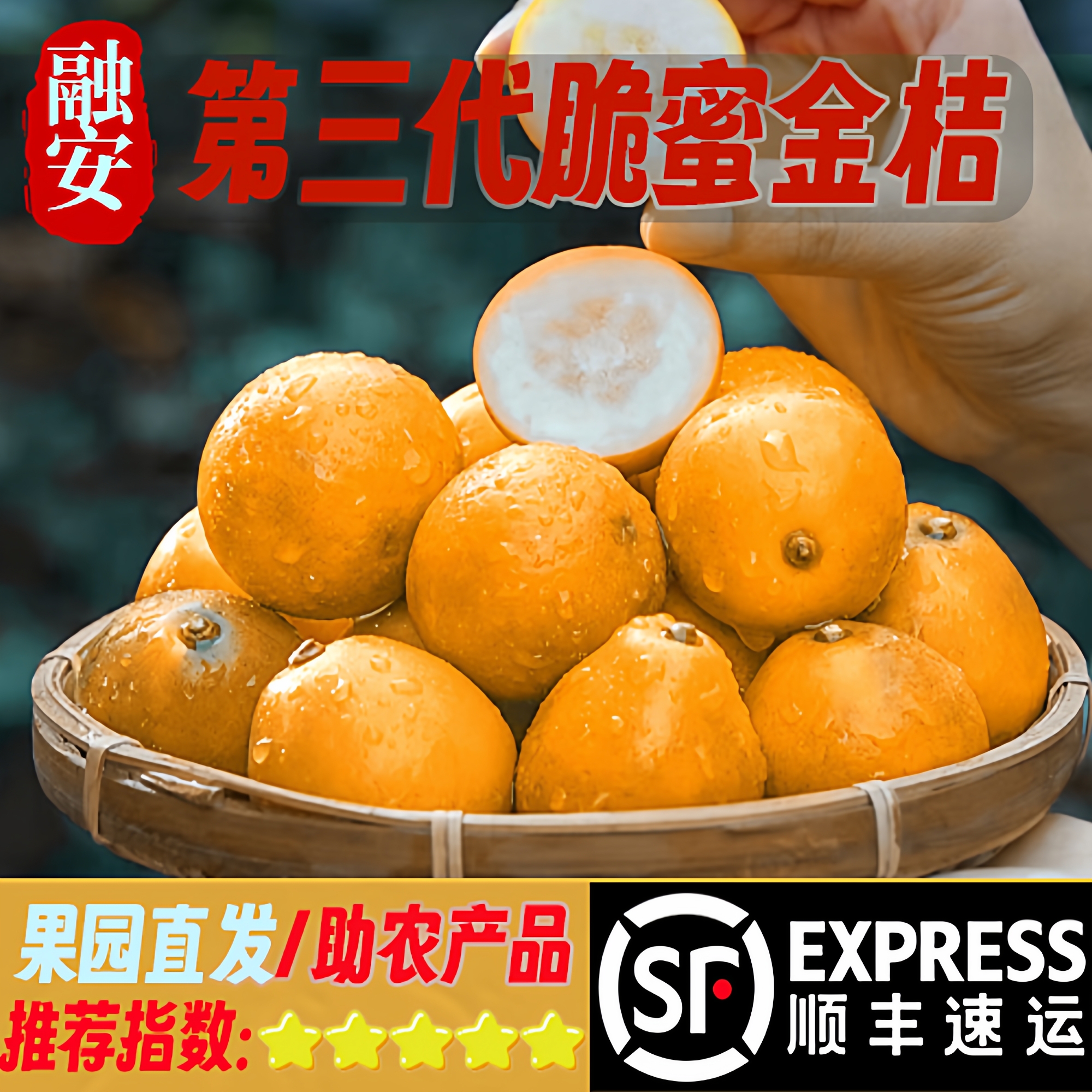 广西脆蜜金桔冷藏纯甜爆汁不贵