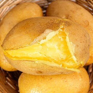 甘肃定西2024新鲜黄心沙面粉糯新鲜土豆黄心马铃薯洋芋蔬菜 包邮