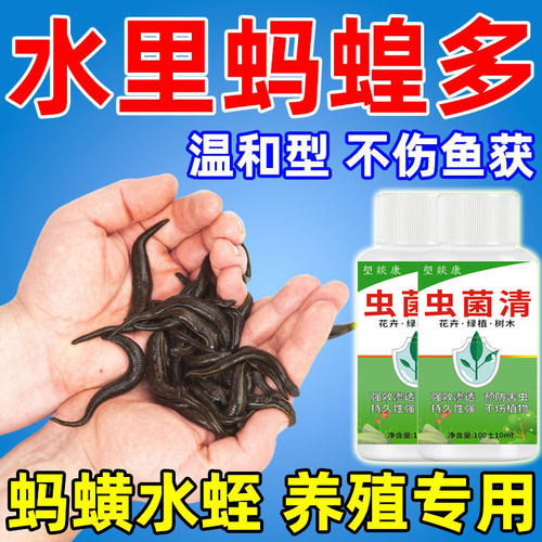 强效蚂蝗净灭蚂蟥养殖用