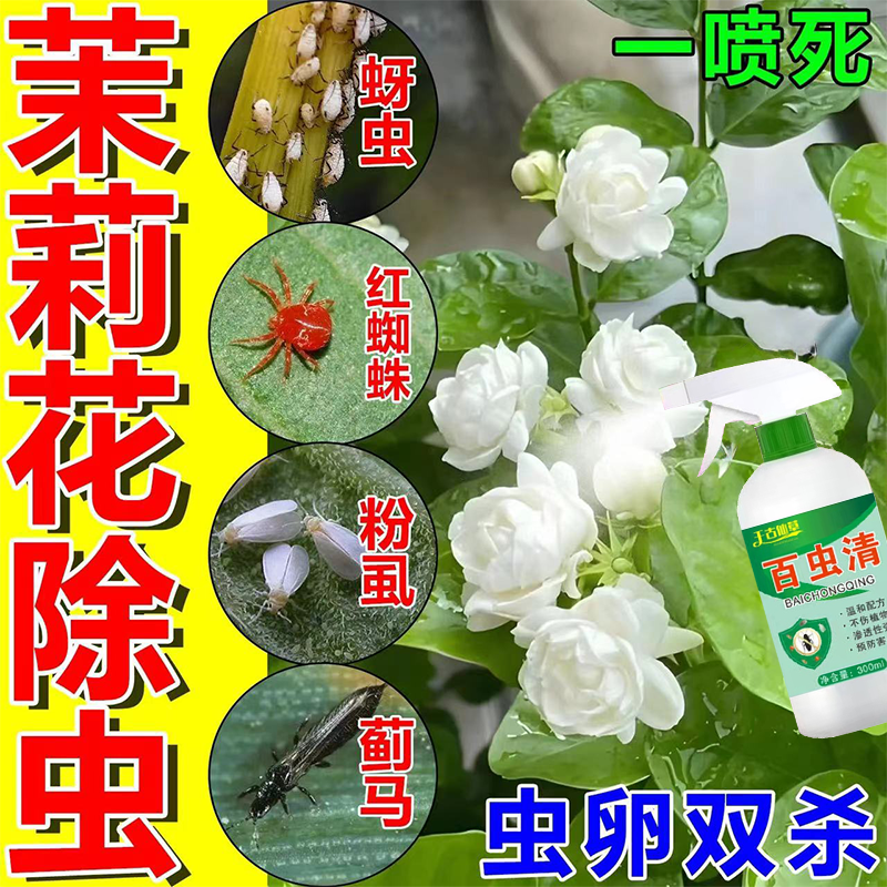 茉莉花专用杀虫剂蚧壳虫白粉虱蚜虫蓟马螨虫卵双杀花卉除虫剂,鲜花速递/花卉仿真/绿植园艺,家庭园艺肥料,淘宝优惠券,粉丝福利购,淘宝优惠卷