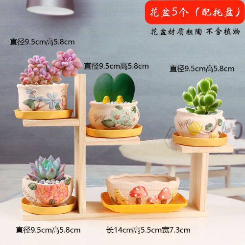 多肉花盆陶瓷圆形简约创意个性透气室内家用小绿植盆栽摆件带托盘