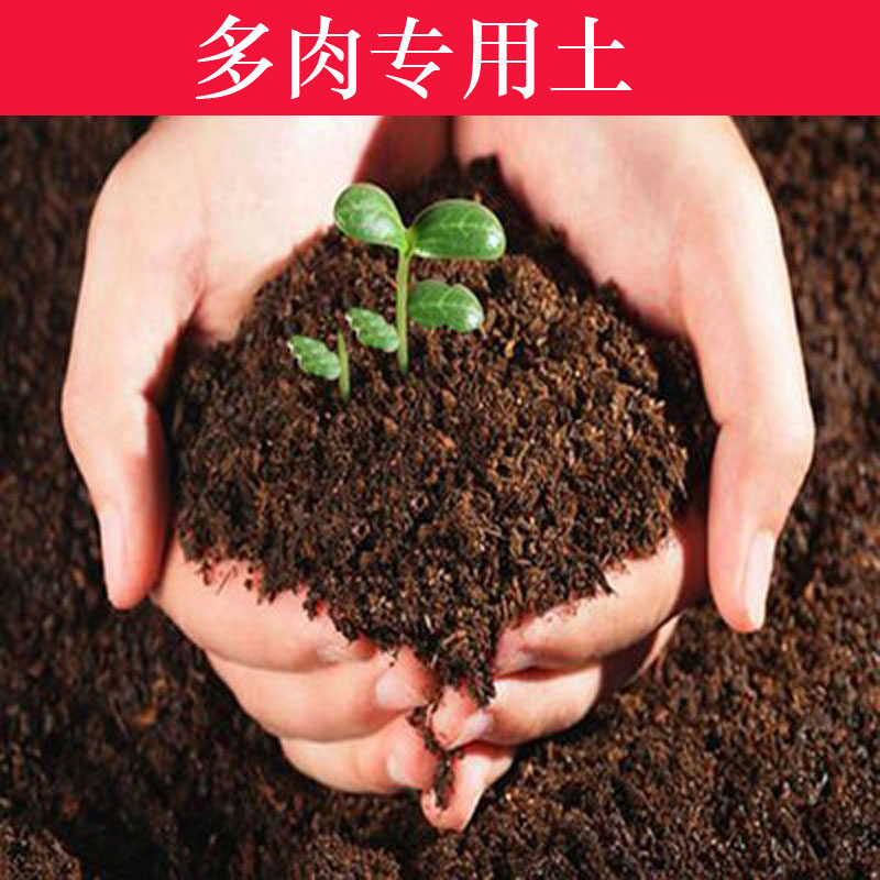 多肉植物泥土营养土植料草炭土鹿沼土赤玉土铺面石多肉专用土特价