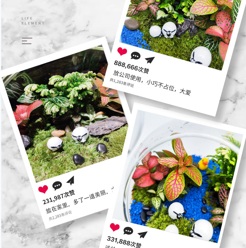 微景观生态瓶成品缸盆景玻璃苔藓创意植物造景材料办公室室内桌面