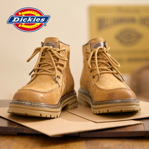 dickies2026男士休闲鞋