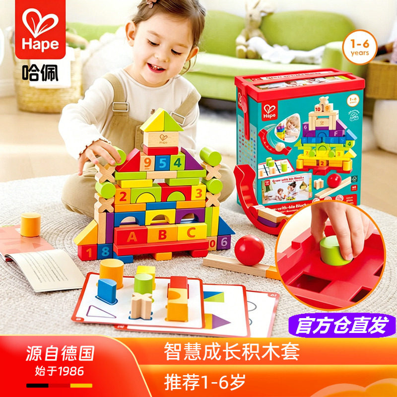 Hape智慧成长积木套装