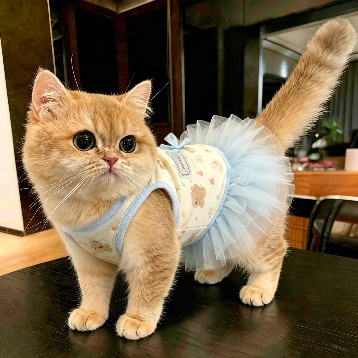 宠物狗狗衣服可爱卡通印花蓬蓬裙春夏季猫咪芭蕾纱裙公主风连身裙