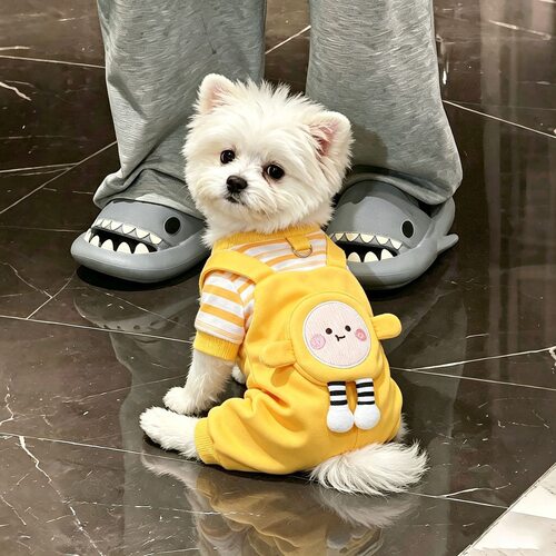 狗狗衣服春秋薄款背带裤泰迪比熊雪纳瑞小型犬可牵引宠物四脚衣