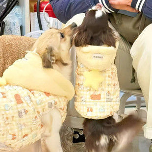 宠物猫狗秋冬款加厚保暖棉衣外套无袖背心毛领帽子款可爱潮流服饰