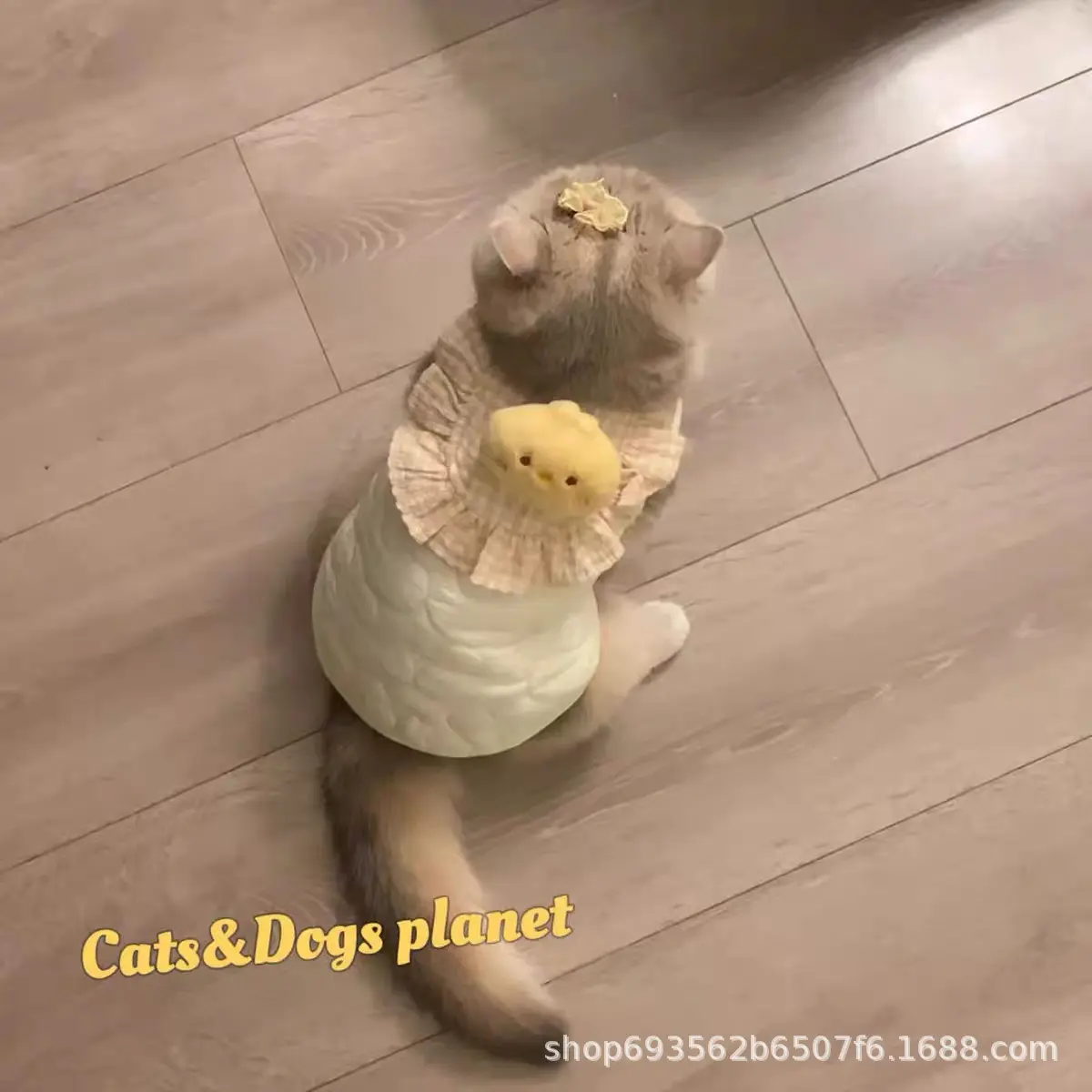 软萌可爱小鸭宠物衣服狗狗秋冬新款泰迪比熊夹棉保暖猫咪马甲背心