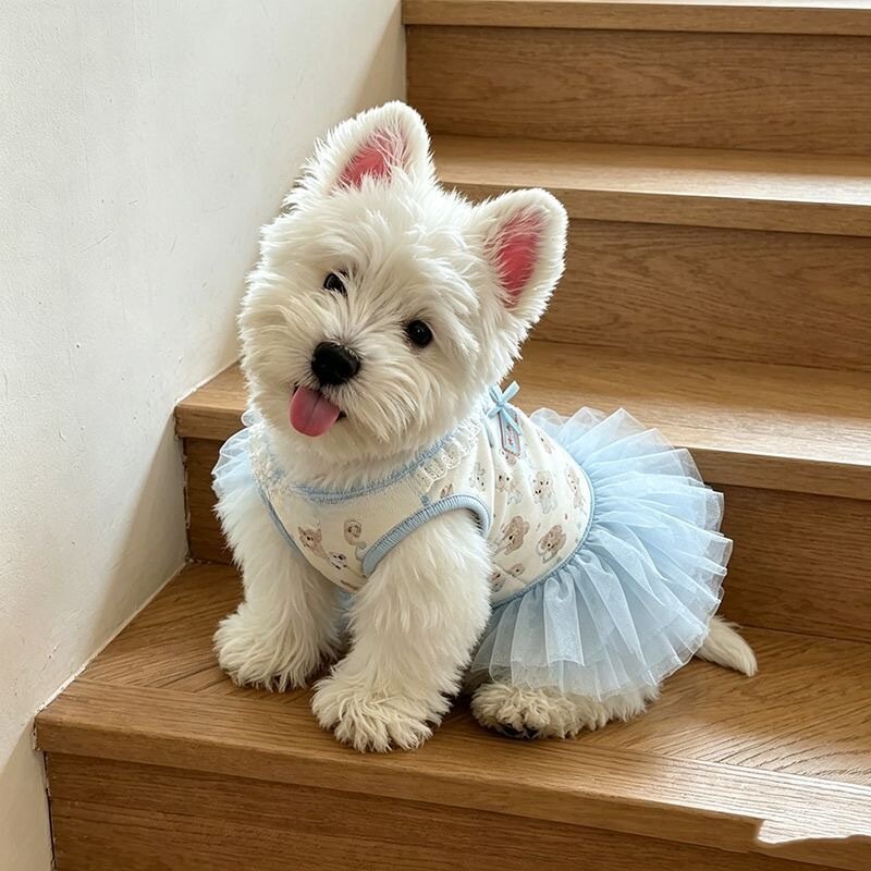 宠物狗狗衣服可爱卡通印花蓬蓬裙春夏季猫咪芭蕾纱裙公主风连身裙
