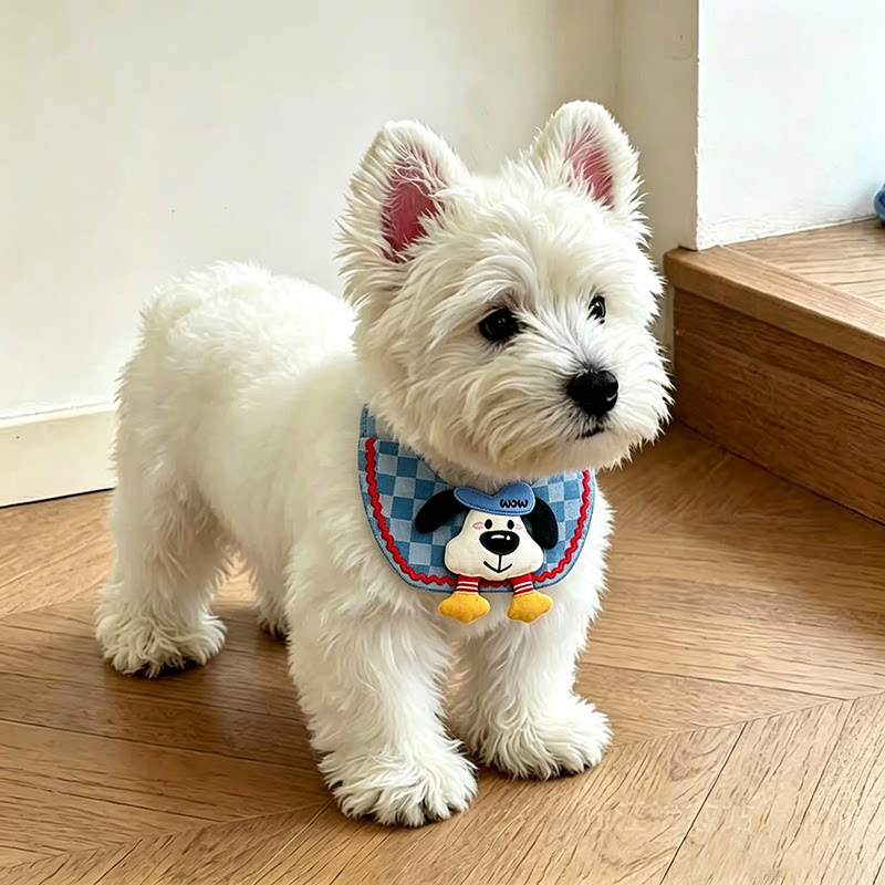 宠物口水巾围巾猫咪围脖狗狗三角巾小型犬拍照饰品可爱透气围兜