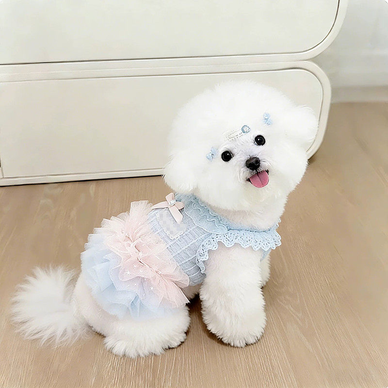狗狗公主裙子小型犬小体夏季薄款猫咪衣服夏日连衣裙比熊泰迪贵宾