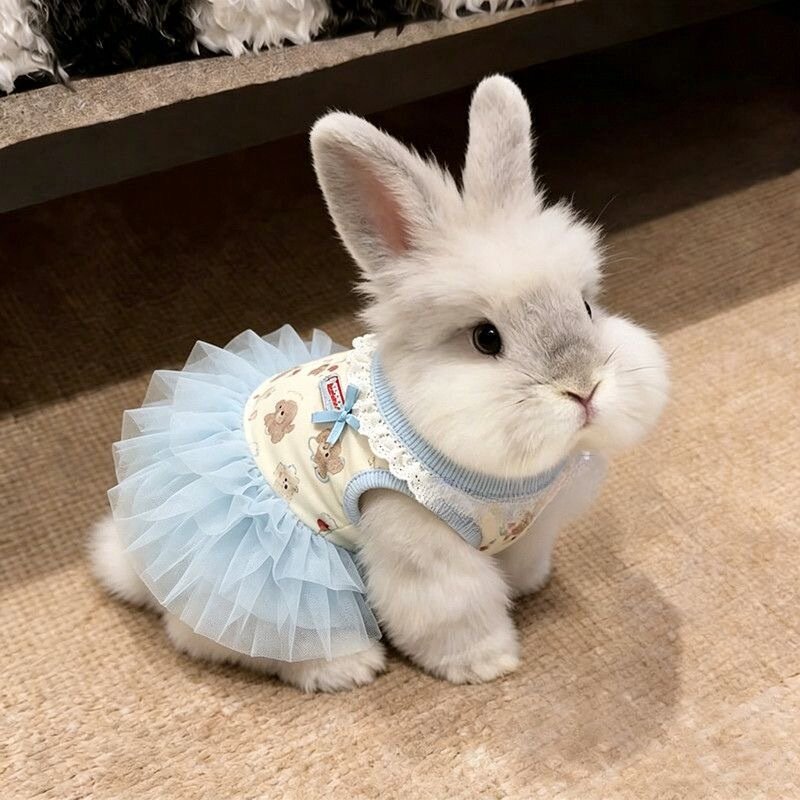 宠物狗狗衣服可爱卡通印花蓬蓬裙春夏季猫咪芭蕾纱裙公主风连身裙