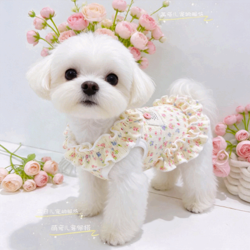 泰迪碎花裙宠物衣服小型幼犬比熊小狗狗春夏薄款冰丝木耳边连衣裙