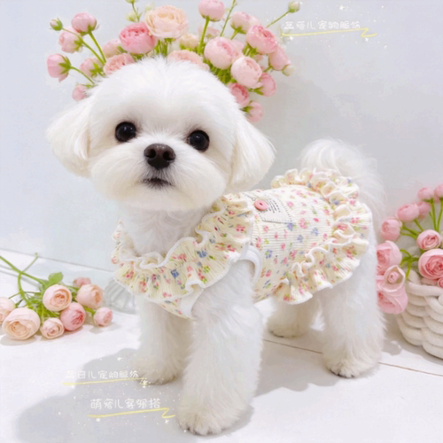 泰迪碎花裙宠物衣服小型幼犬比熊小狗狗春夏薄款冰丝木耳边连衣裙