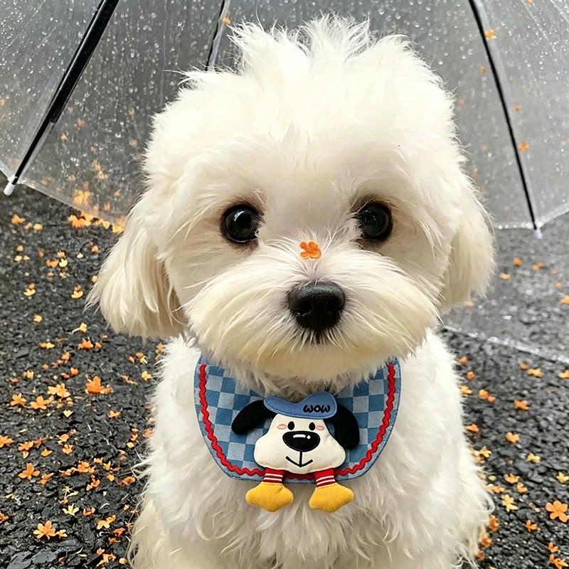 宠物口水巾围巾猫咪围脖狗狗三角巾小型犬拍照饰品可爱透气围兜
