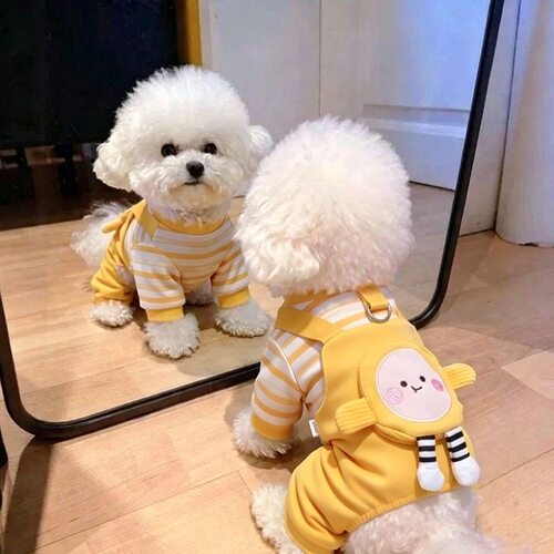 春秋薄款可牵引小型犬四脚背带裤