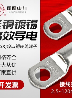 铜鼻子紫铜凤凰铜接线端子SC（JGK）10-240紫铜窥口 铜线耳 镀锡