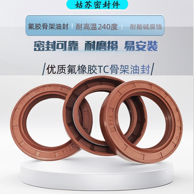 氟胶骨架油封TC117*118*119*140*145*150*190*9*10*12*13*15