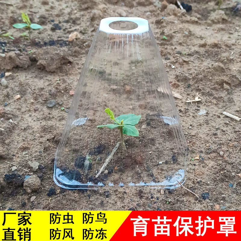幼苗保温罩育苗防风雨霜冻钟罩