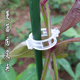 植物番茄吊绳卡扣夹绑枝夹吊蔓夹扶蔓夹蔬果藤蔓花枝固定夹吊秧夹