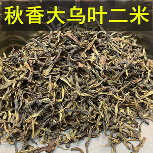 秋香大乌叶二米2025新茶清香回甘凤凰单丛粗米无梗口粮茶500g袋装
