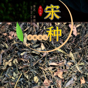 凤凰单丛老枞宋种茶头 单枞茶老叶茶梗高山乌龙茶回甘浓香型茶头