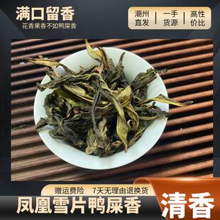 潮州凤凰单枞茶坪坑头鸭屎香大乌叶纯叶二米黄片清香型雪片500g