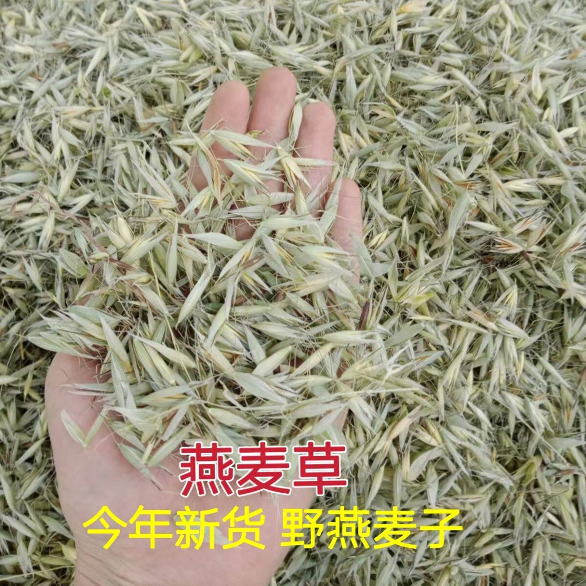 2026年新货野燕麦浮小麦带壳500g