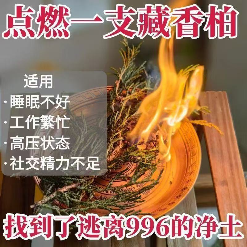 正宗西藏藏香柏枝叶植物香薰料新